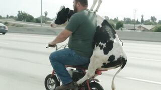 Rare funny clip 🤣