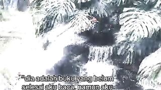 Kisah cinta 2