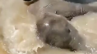 Мам, ну еще пять минуточек..