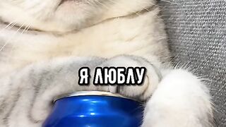 Я сажусь на диету, тоже я: знакомо?