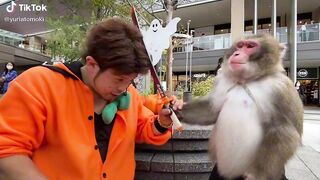 Do not play with monky