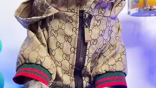 Usher DJ Mix cat