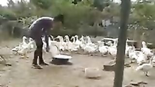 СельХоз Группа Н.Новгород