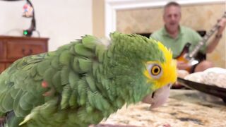 Песня о линьке