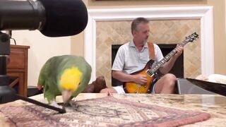 Рассказывать истории