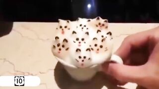 Латте с кошками. Прикол