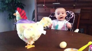 Малыш в шоке от игрушечной курицы