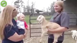 Нашли общий язык
