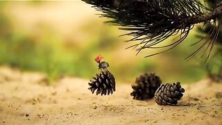 Funny atack bee