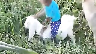 Братаны.