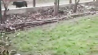 "Я тебя посажу за решётку, если ты не будешь соблюдать Конституцию! Понял, б****?"