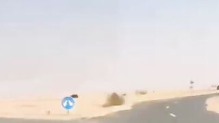 Я и тачки на 3,6 млрд в Дубаи
