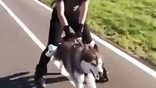Луше любого электро самоката