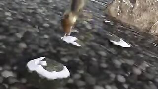 Scrat - Gone Nutty