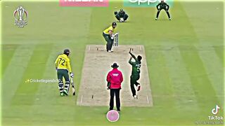 Cricket
