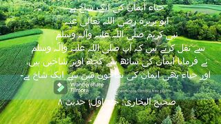Hadees e nabvi