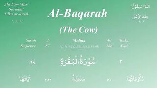 Surah 2 | Surah Al Baqrah | Quran Recitation | Complete Quran Series | سورۃ البقرۃ | قرآن الکریم