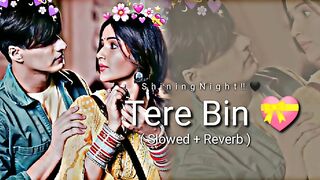 Tere Bin ???? songs  [Slowed+Reverb]❣️