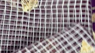 Low cost suits