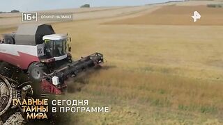 Тайны Чапман (20.01.2023)