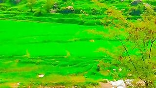 KPK beautiful place ????????