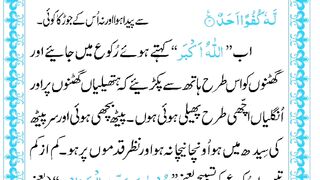 Recite Correctly Surah Ikhlas in prayer| Learn Quran English| 786 Quran Academy