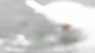 Funny_Video_