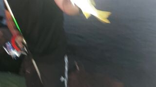 My First Vlog | How Fishing in Dubai | Yasir Pardesi Vlogs