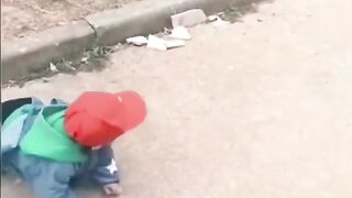 Dogs playing with babies very funny ????????????