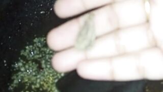 Alo palak fry