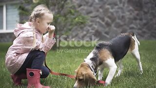 Happy girl playing with dog