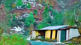 Azad Kashmir Snowfall Fresh Video