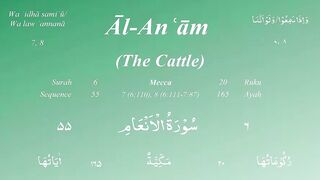 Surah 6 | Surah Al An'am | Quran Recitation | Complete Quran Series | قرآن الکریم