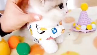 So cute