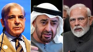 Kya u.a e india or pakistan k darmay bahtri lany may kamyab ho ga ya ni
