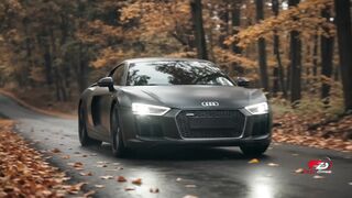 Audi R8 Autumn Drive: Cruising Through the Fall Forest