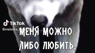 ТОВА СЪМ АЗ -ПЕТКО РУСАНОВ