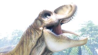 Zoo animals - cow, elephant, horse, chicken, duck, dog, cat - Animal sounds