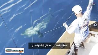 The catch of a lifetime.. Watch a kid catch a great white shark while on a cruise