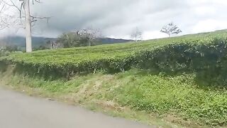 Pagar alam
