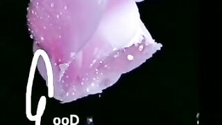 #Febspot #Videos Beautiful Dress Material