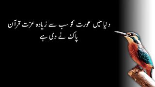 Aurat quotes in urdu|Aurat kia hai|Best urdu quotes about women |Heart touching quotes