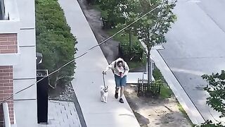 funny video
