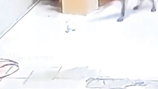 Funny Video
