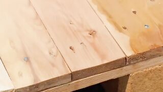 Small house for dog
