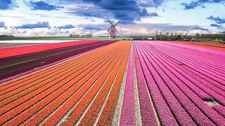 Stunning Nature view