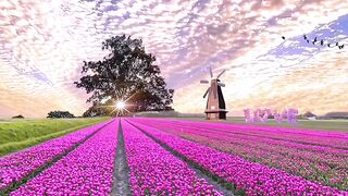 Breathtaking Nature