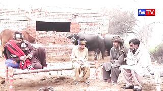 Number Daar Ki Anokhi Shadi Funny  New Top Funny