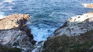 Relaxing Zen Music with Water Sounds • Peaceful Ambience for Spa, Yoga and Relaxation