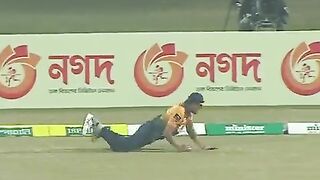 Cricket